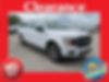 1FTEW1CP7KFB01118-2019-ford-f-150