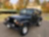 1J4FA49S52P705089-2002-jeep-wrangler-1