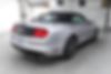 1FATP8UHXK5150071-2019-ford-mustang-2