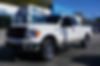 1FTFX1EF0BFD41388-2011-ford-f-150-0