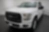 1FTEX1EP4GFB96075-2016-ford-f-150-2
