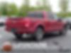 1FTEW1EP7GFA01637-2016-ford-f-150-1