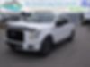 1FTEW1EP8HKC01564-2017-ford-f-150