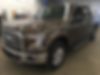 1FTEW1EP1GFA66130-2016-ford-f-150-0