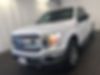 1FTEX1EP9JKE24134-2018-ford-f-150-0