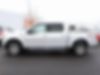 1FTEW1EP2HFB01517-2017-ford-f-150-1