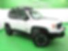 ZACCJBCT1GPD90574-2016-jeep-renegade-2