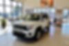 ZACNJBBB8KPK30506-2019-jeep-renegade-0