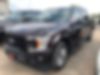 1FTEW1CP3JKC08365-2018-ford-f150-0