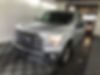 1FTEW1C85GFA18769-2016-ford-f-150-0