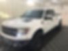 1FTFW1R64BFD31900-2011-ford-f150-0