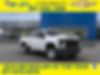 1GC1YLE79LF146094-2020-chevrolet-work-truck-0