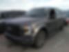1FTEW1CP6GKE70082-2016-ford-f-150-0