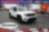 ZACNJAAB3LPL09059-2020-jeep-renegade