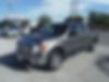 1FTEW1C81AFC33315-2010-ford-f150-1
