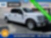 1FTEW1CP8HKD00419-2017-ford-f150-0