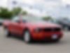 1ZVHT84N485185776-2008-ford-mustang-0