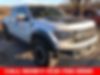 1FTFW1R68DFC04537-2013-ford-f-150-0