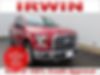 1FTEW1EF7GFD08782-2016-ford-f-150-0