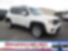 ZACNJABB2KPJ94502-2019-jeep-renegade-0