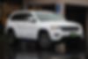 1C4RJEAG5LC203577-2020-jeep-grand-cherokee-0