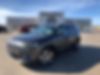 1C4PJLDB3LD561217-2020-jeep-cherokee