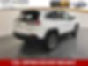 1C4PJMBX3LD562825-2020-jeep-cherokee-1