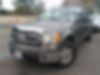 1FTEW1CM9DKG31493-2013-ford-f-series