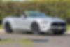 1FATP8UH8K5106439-2019-ford-mustang-1