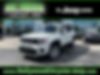 ZACNJABBXLPL10305-2020-jeep-renegade-0