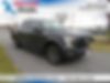 1FTEW1EP1GFA69089-2016-ford-f-150-0