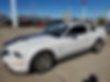 1ZVHT88S975251687-2007-ford-mustang-2