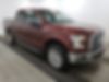 1FTEW1EF5GFA00669-2016-ford-f-150-2