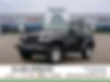 1J4AA2D1XAL176581-2010-jeep-wrangler-0