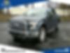 1FTEW1EF7GFD06630-2016-ford-f-150-0