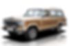 1J4GS5875KP107637-1989-jeep-wagoneer-0