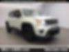 ZACNJAABXLPL01301-2020-jeep-renegade-0