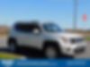 ZACNJABB5LPL16240-2020-jeep-renegade