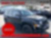 1C4NJPBB4HD120575-2017-jeep-patriot-0