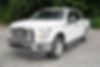 1FTEW1CGXFKD69416-2015-ford-f-150-2