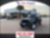 1C4HJXDG0LW215539-2020-jeep-wrangler-unlimited
