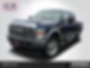 1FTSW2BRXAEB02389-2010-ford-f-series-0
