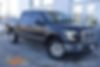 1FTEW1EP0FFB13954-2015-ford-f-150-0