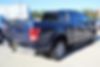 1FTEW1CP1GFD50568-2016-ford-f-150-1