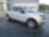 1FTEW1E57JFE36504-2018-ford-f150-0