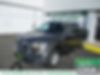 1FTEW1CP4GKF68690-2016-ford-f-150-0