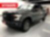 1FTEW1EP0GFB76618-2016-ford-f-150-0