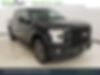 1FTEW1EP6HFA96385-2017-ford-f-150-0