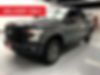 1FTEW1EP0GFB76618-2016-ford-f-150-0