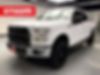 1FTEW1EP5GKD15312-2016-ford-f-150-0